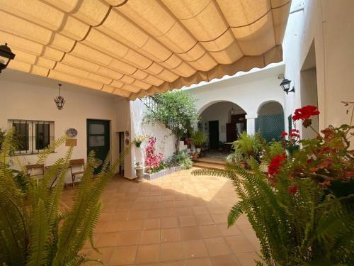  Apartamentos El Arco, Pension in Conil de la Frontera