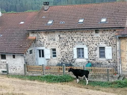 Gite a la ferme - Location saisonnière - Le Malzieu-Ville