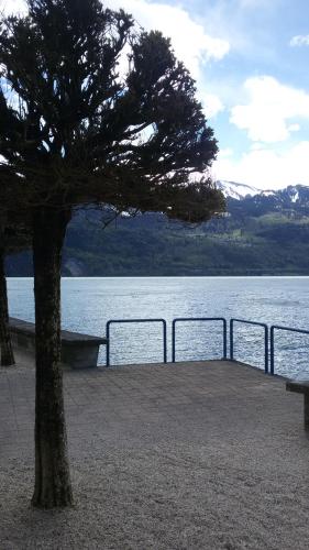Gasthaus Schafli