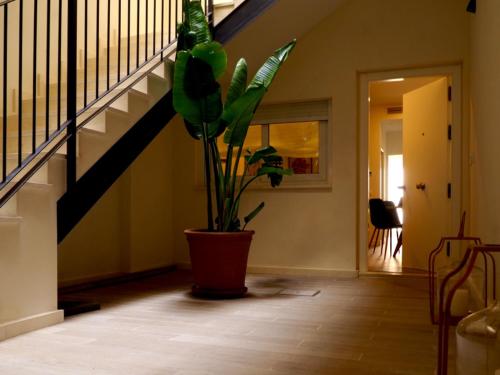 Casa Triana 1888 Suites by Epoca