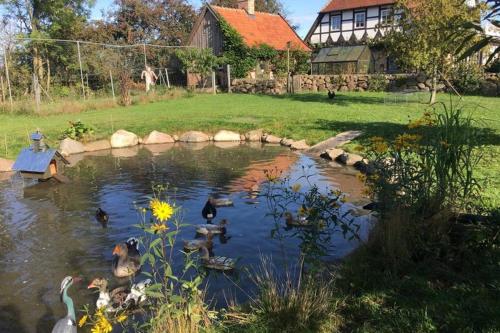 Hof Rabenstein Ostsee bei Kühlungsborn