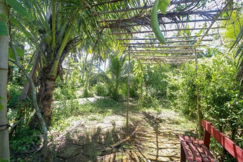 Garden, Vila Basi in Nguyet Hang