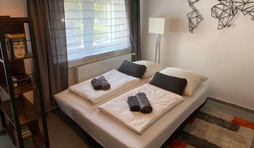 Apartment Valeri - Bonn 1.9km von Duisdorf entfernt