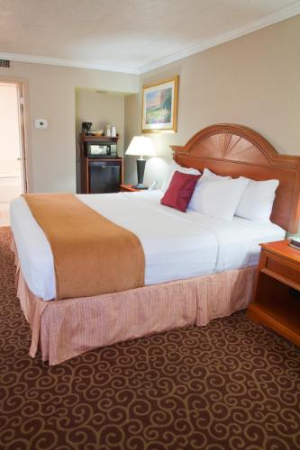 Red Arrow Inn & Suites - image 2