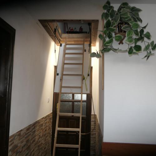 Apartamenty u Łukasza - image 10