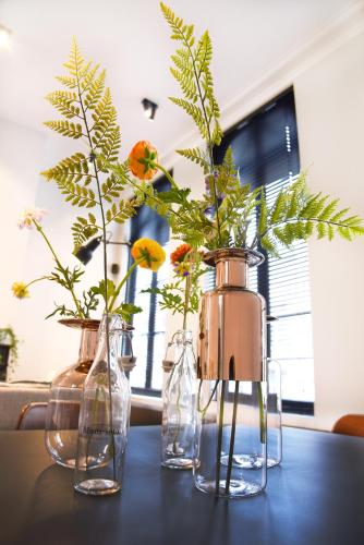 MAISON12 - Design apartments with terrace and view over Ghent towers, Gandawa (zdjęcie 9)
