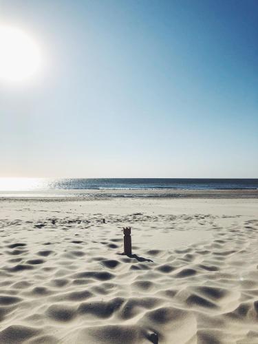 Programlehetőségek, ECHT-Bergen in Bergen-Centrum