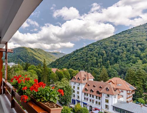 Hotel Sinaia