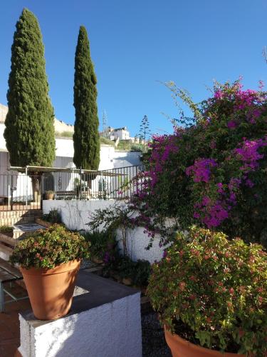  Cielo del Albayzin in Granada