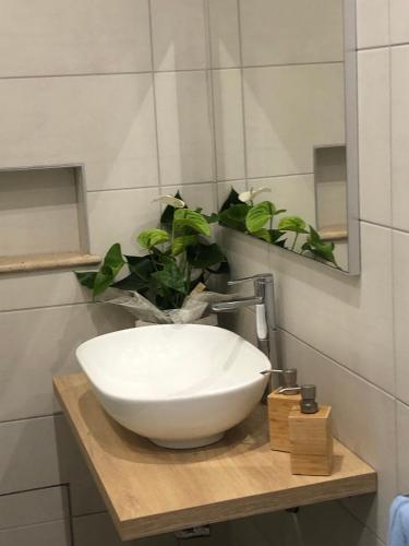 MADD HOUSE BIS - image 8