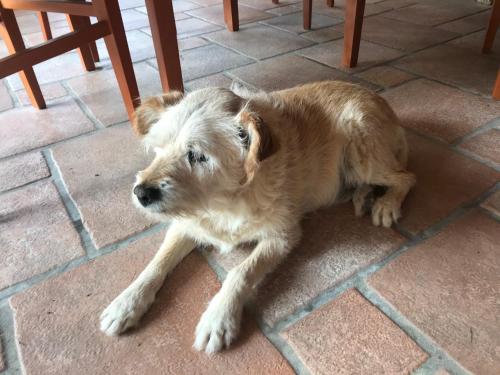 老房子乡间别墅 