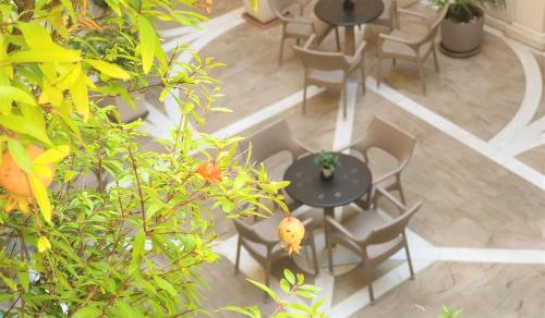 Hotel Colomba d'Oro - image 13