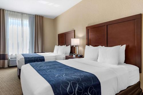 Comfort Suites Waco Near University Area