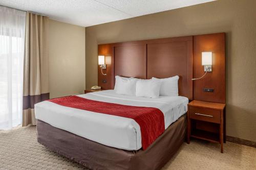 Comfort Inn & Suites Rochelle - image 4