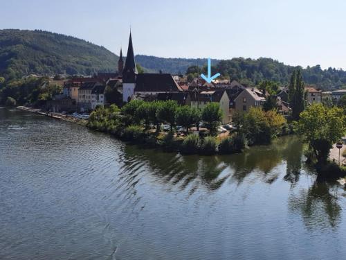 Ferienwohnungen Flussufer - Neckargemünd Altstadt