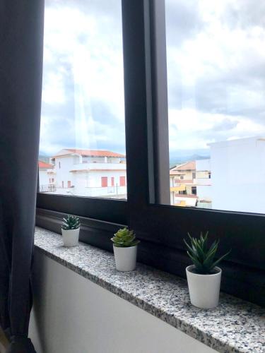 Il Girasole