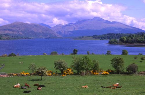 Tigh Grianach - image 3