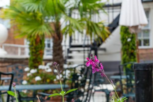 Knightsbridge Roof Garden Rooms - image 6