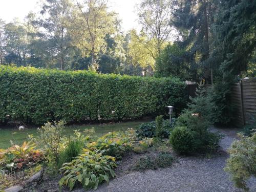 Ferienhaus Fasanennest