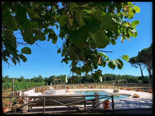 MARISMA gîte à louer Ravi