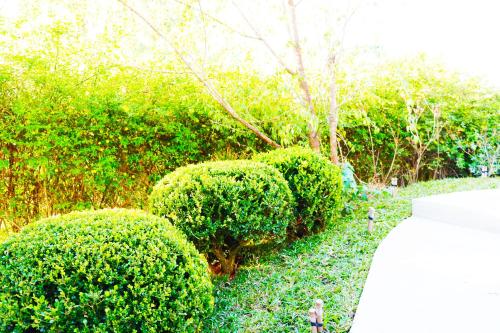 Maris Campos do Jordão