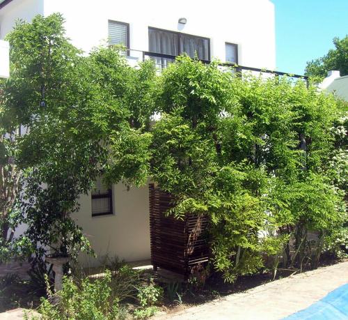 16 Rhodes-North Self Catering Apartment & Studio in Stellenboša