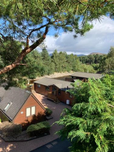 Blair Atholl River tilt park treetops