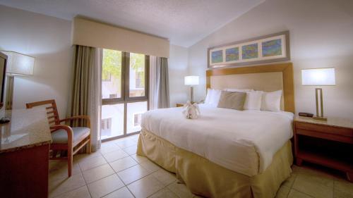 Park Royal Homestay Club Cala Puerto Rico - image 6