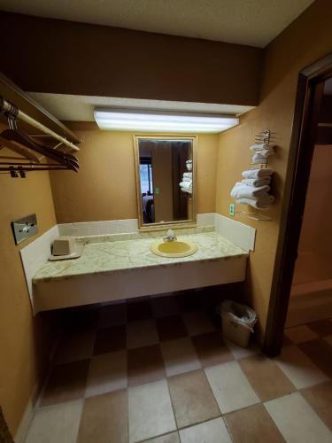 Gray Plaza Motel West Frankfort - 화장실