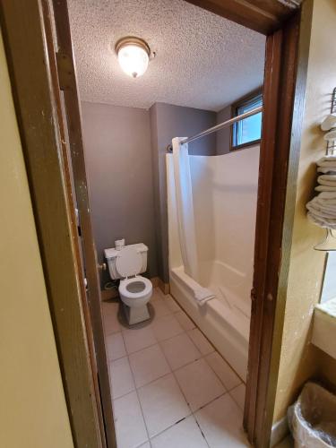 Gray Plaza Motel West Frankfort - 화장실