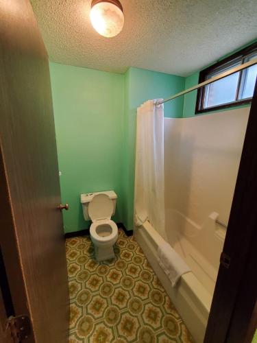 Gray Plaza Motel West Frankfort - 화장실
