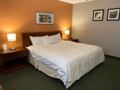 Diamond Motel - Abilene - image 6