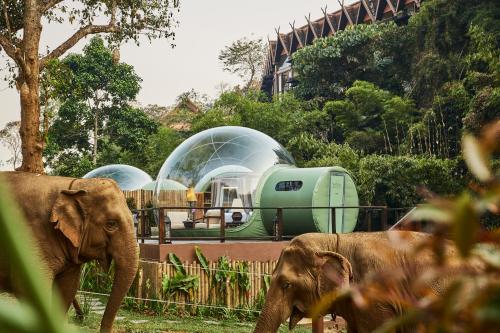 Anantara Golden Triangle Elephant Camp & Resort