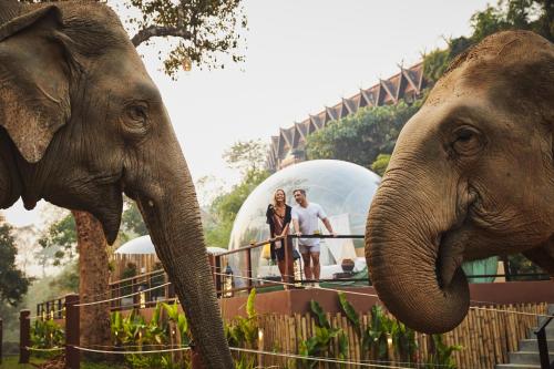 Anantara Golden Triangle Elephant Camp & Resort