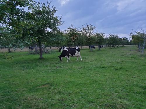 la ferme chevalier