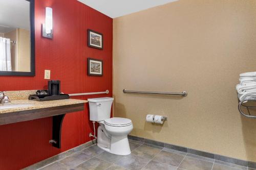 Comfort Suites Florence I-95 in Florence, USA
