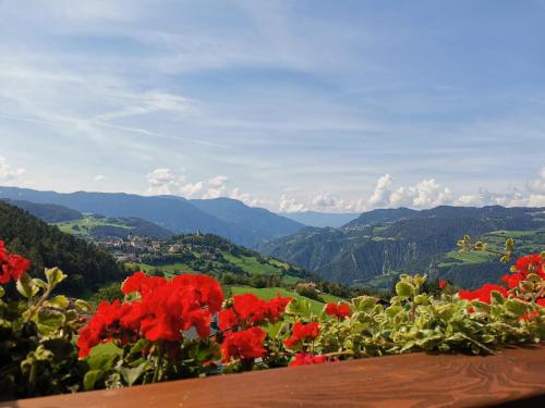 Gfliererhof - Hotel - Fiè