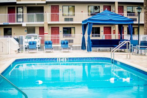 Swimming pool, Hotel South Tampa & Suites in Tampa (FL)