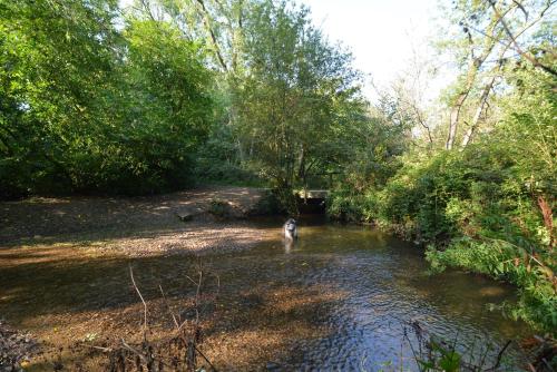 Glamping Yurts near Newquay Glamping Yurts near Newquay