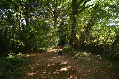 Glamping Yurts near Newquay Glamping Yurts near Newquay