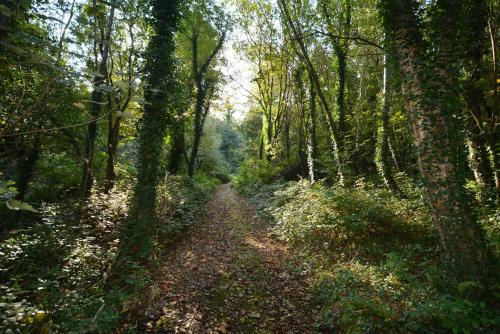Glamping Yurts near Newquay Glamping Yurts near Newquay