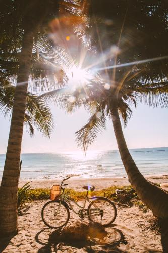 Che Playa Hostel & Bar Adults Only in Playa Del Carmen