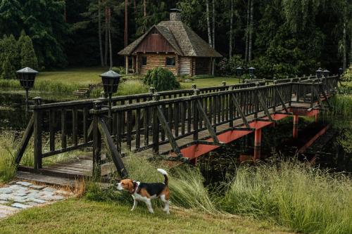 B&B Goldingen - Log Cabin - Bed and Breakfast Goldingen