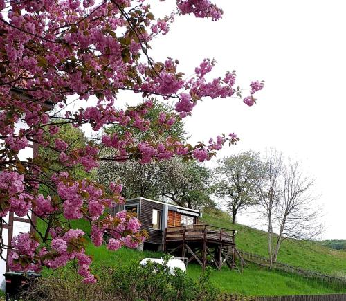 Tiny House mit Klima und Heizung, in idyllischer Ortsrandlage