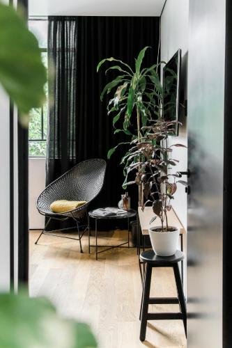 Stayinn Barefoot Condesa