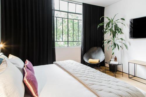 Stayinn Barefoot Condesa