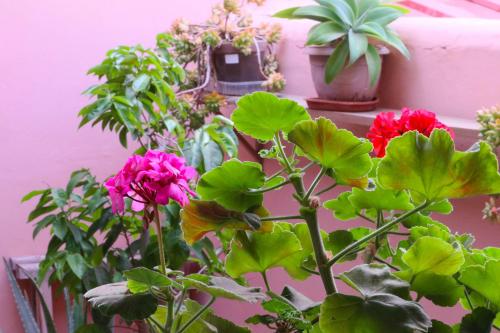 HAPPY ROOM — Photo 2