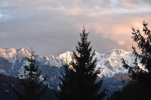 The "small" Alpine Chalet & Dolomites Retreat