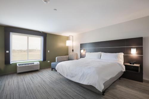 Holiday Inn Express & Suites - Hoffman Estates, an IHG Hotel