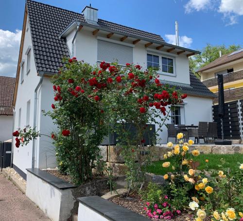 Rosenchalet in Leinach, Deutschland